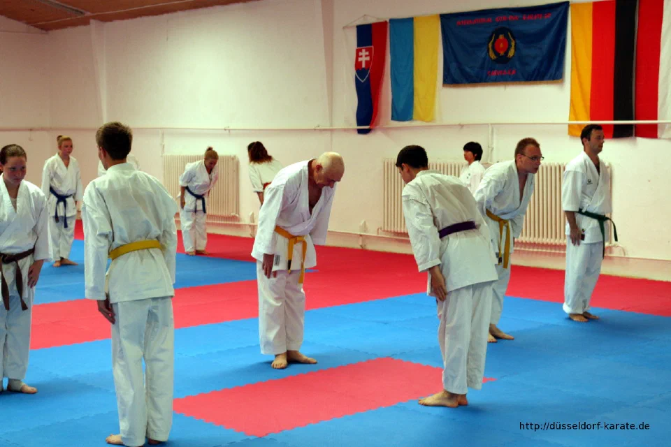 Karate-Training beim Sommercamp 2016 in Ungarn – Foto 14