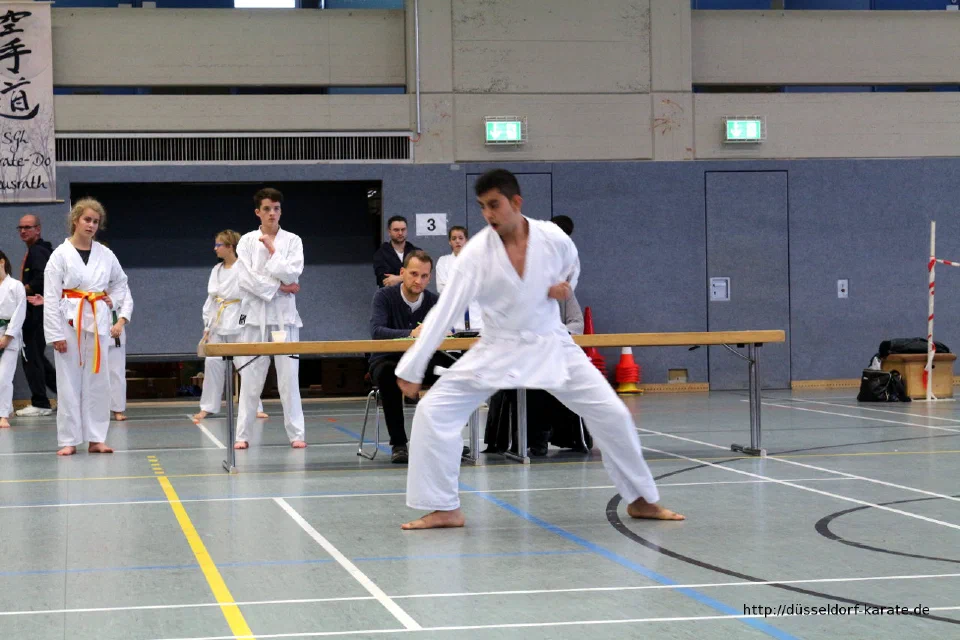 Kata-Wettkampf beim Tomonari Cup 2015 – Foto 51
