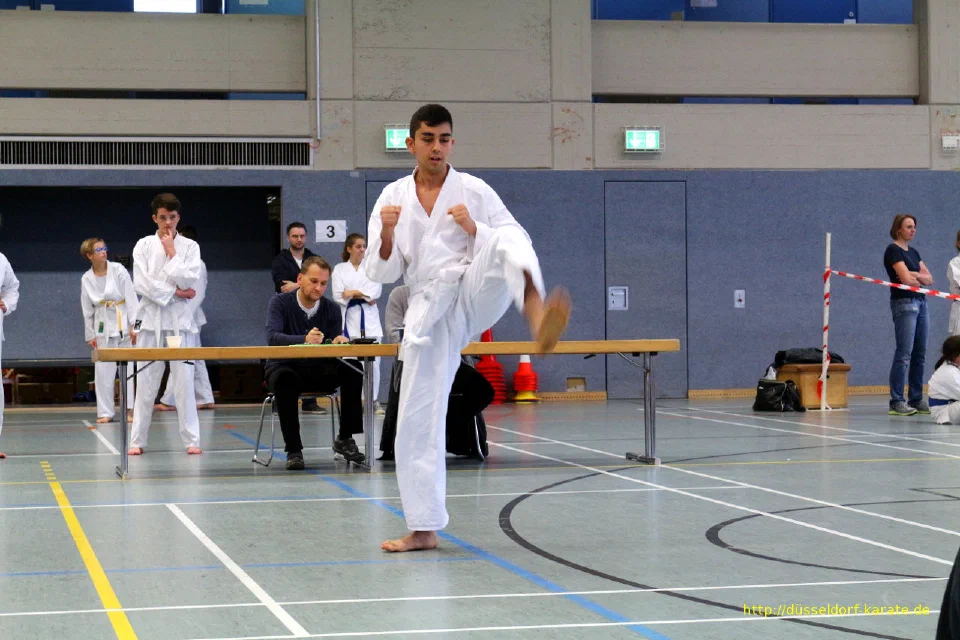 Kata-Wettkampf beim Tomonari Cup 2015 – Foto 52