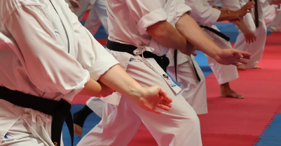 Karateka beim gemeinsamen Training während des Sakura-Kai Sommercamps 2026